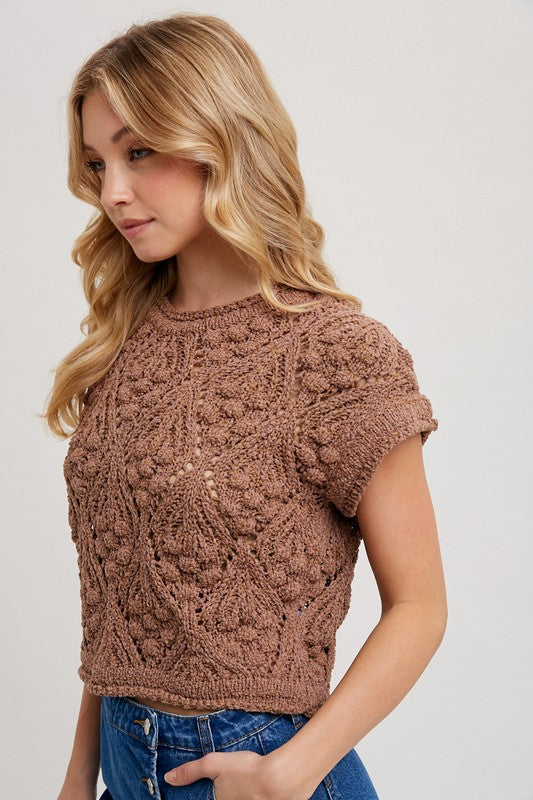 Short Sleeve Crochet Cropped Sweater Top Brown