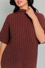 Short Sleeve Mock Neck Ribbed Sweater Top And Pants Set Brown