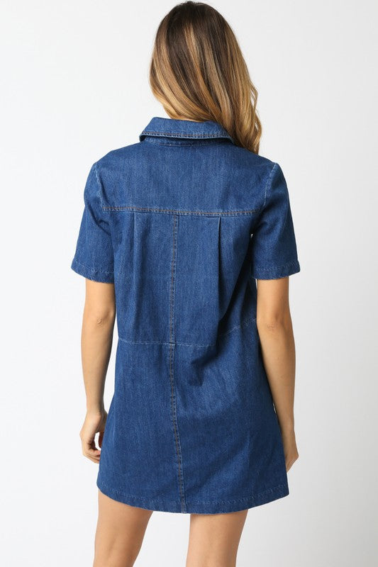 Short Sleeve Denim Mini Dress Dark Wash