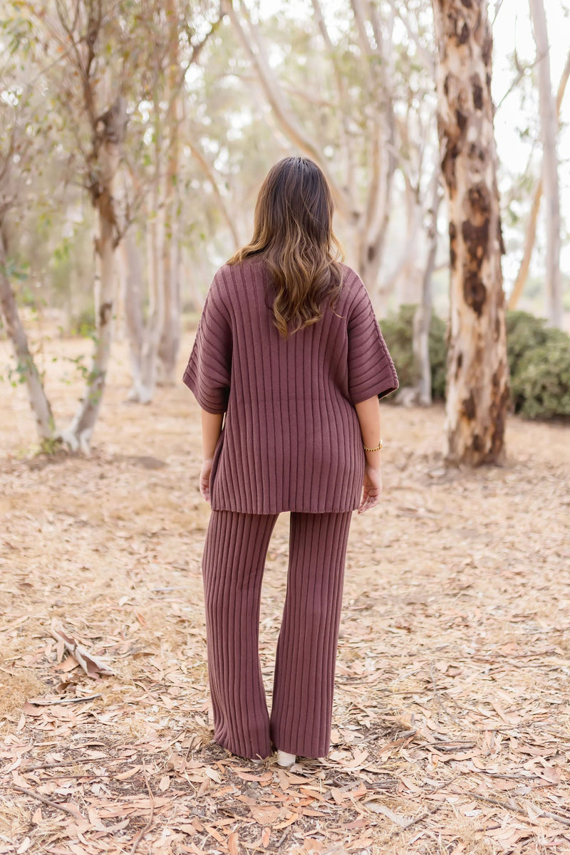 Short Sleeve Mock Neck Ribbed Sweater Top And Pants Set Brown