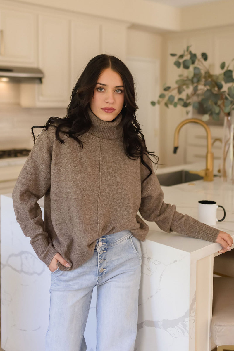 Long Sleeve Turtleneck Sweater Top Taupe