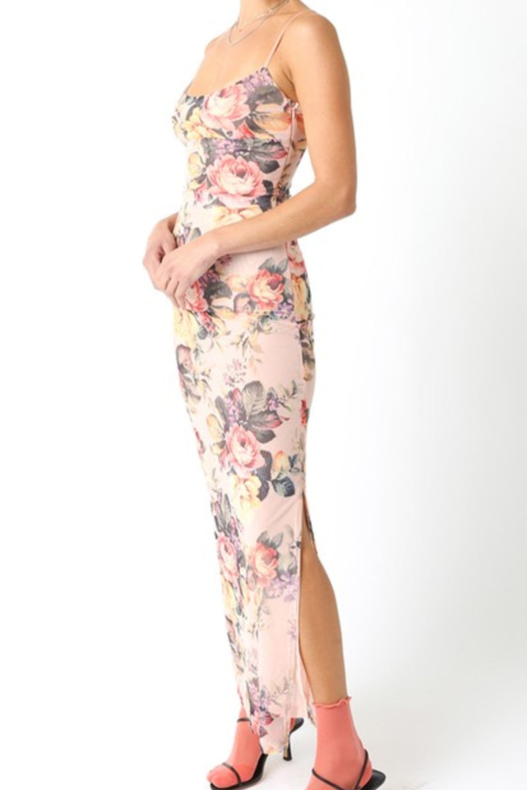 Sleeveless Mesh Floral Print Maxi Dress Blush