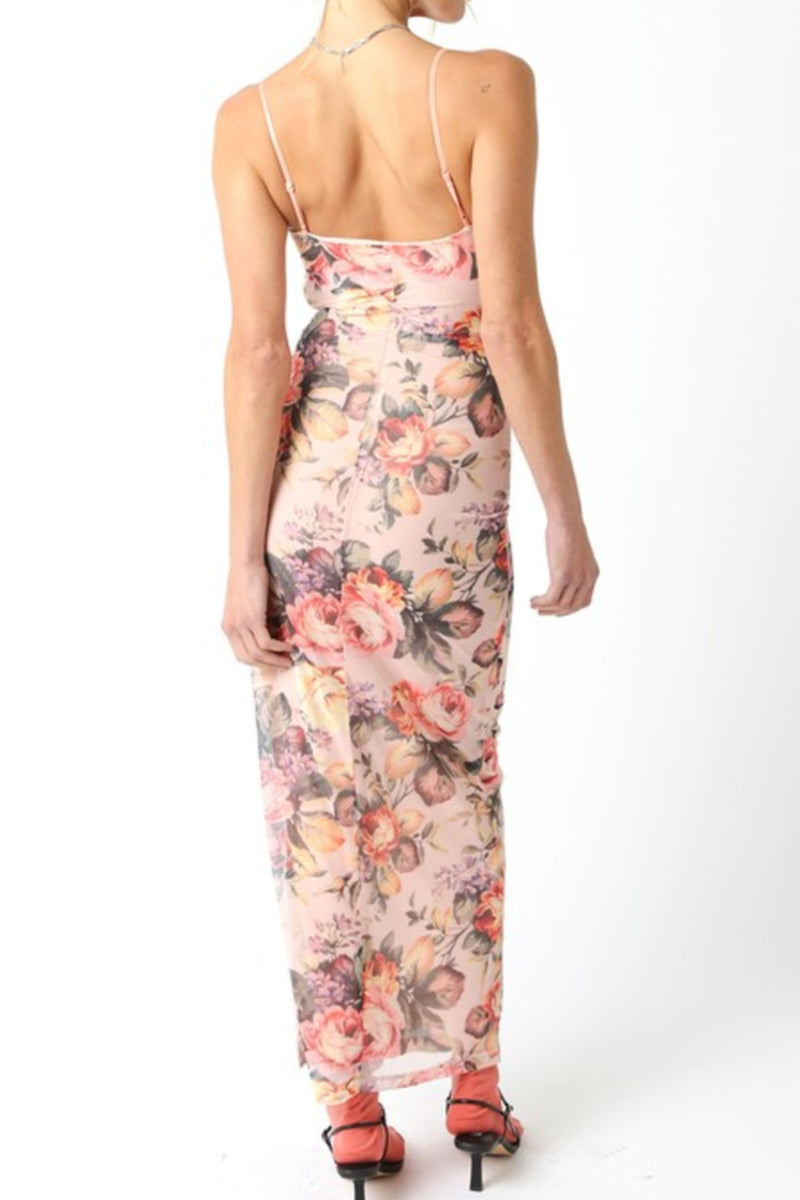 Sleeveless Mesh Floral Print Maxi Dress Blush