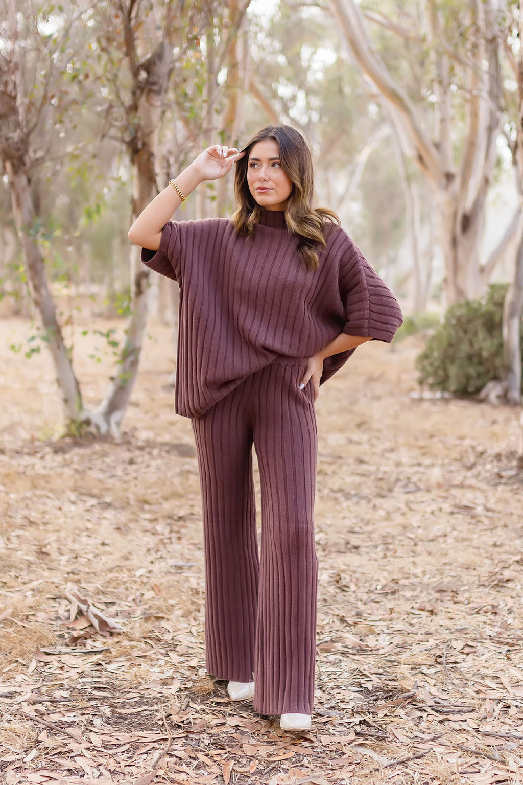 Short Sleeve Mock Neck Ribbed Sweater Top And Pants Set Brown