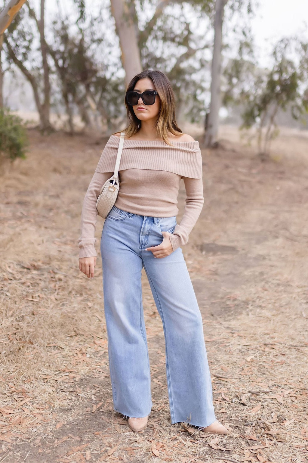 Long Sleeve Off The Shoulder Sweater Top Taupe