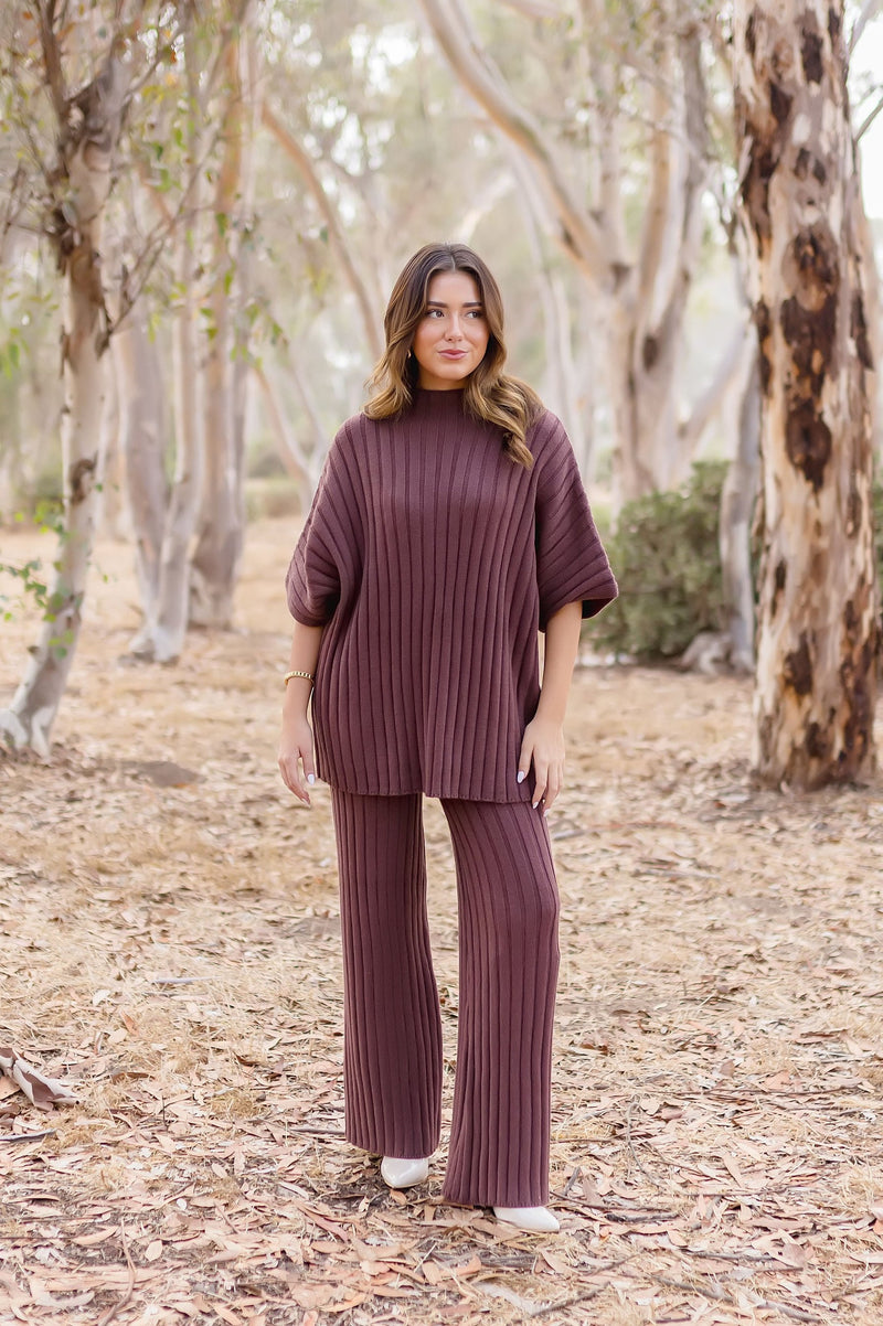 Short Sleeve Mock Neck Ribbed Sweater Top And Pants Set Brown