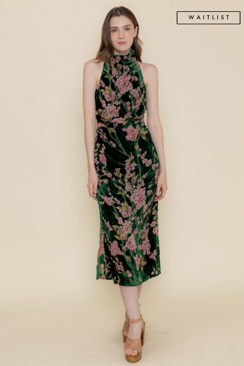 Sleeveless Mock Neck Velvet Floral Print Midi Dress Green