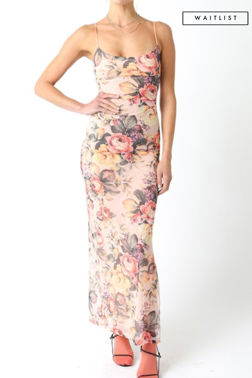 Sleeveless Mesh Floral Print Maxi Dress Blush